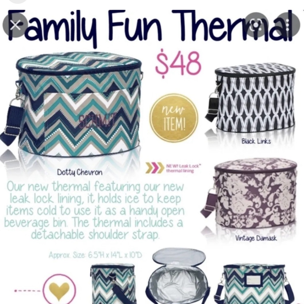 31 Family Fun Cooler BNWT